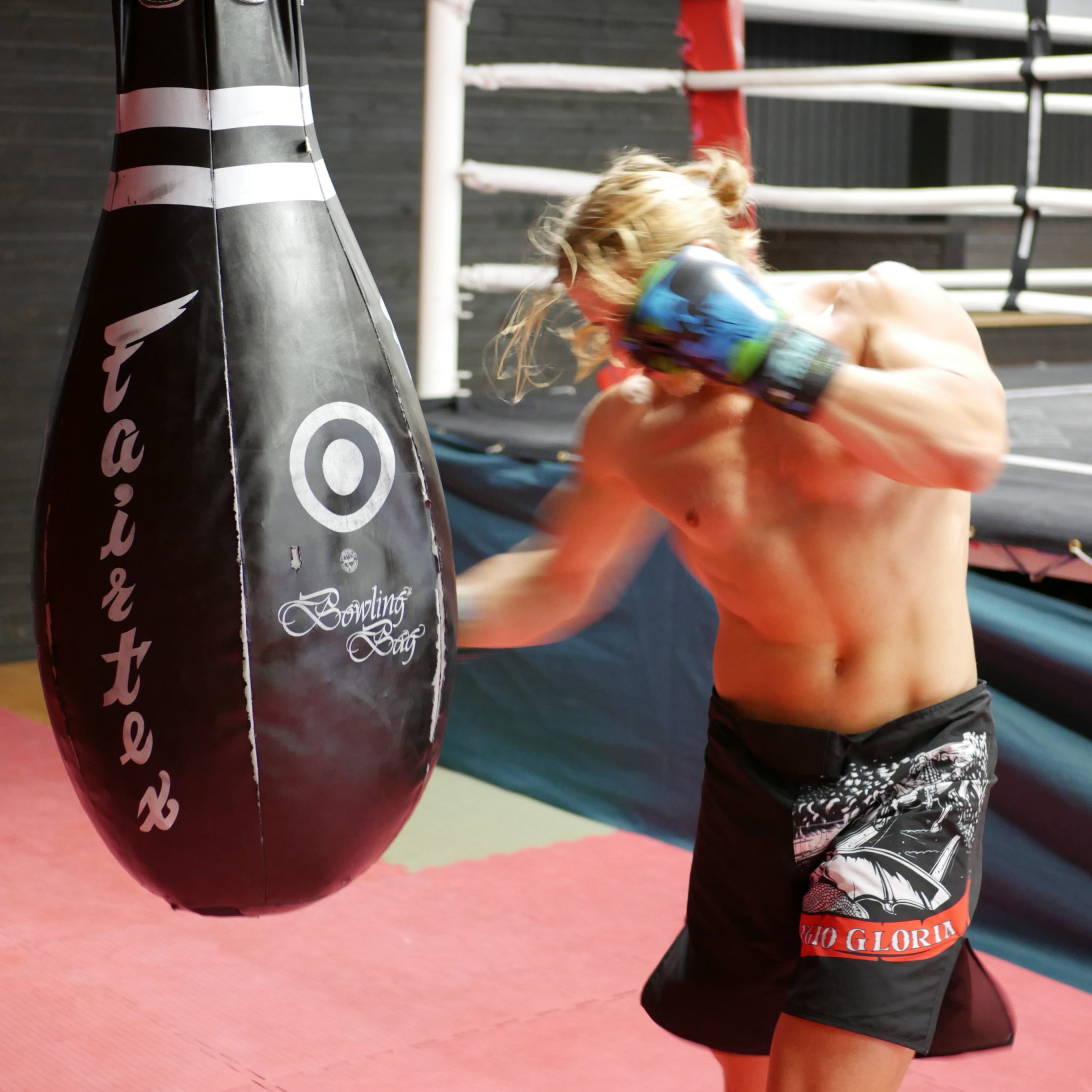 MMA Shorts – Dragon Prince 3